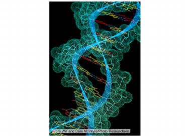 Homologous chromosomes