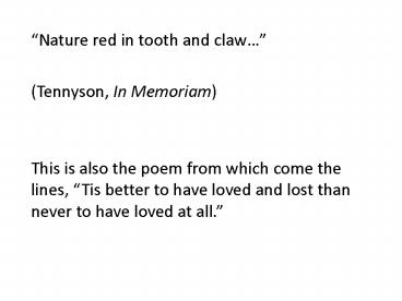 Nature red in tooth and claw