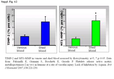 Nessun titolo diapositiva