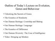 Outline of Todays Lecture on Evolution, Genes and Behaviour