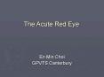 The Acute Red Eye PowerPoint PPT Presentation
