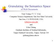 Granulating the Semantics Space of Web Documents