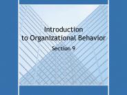 Introduction to Organizational Behavior