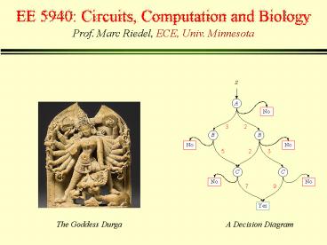 EE 5940: Circuits, Computation and Biology