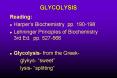 GLYCOLYSIS PowerPoint PPT Presentation