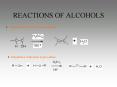 REACTIONS OF ALCOHOLS PowerPoint PPT Presentation