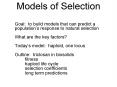 Models of Selection PowerPoint PPT Presentation