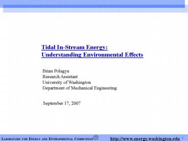 Tidal InStream Energy: Understanding Environmental Effects