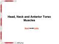 Head, Neck and Anterior Torso Muscles PowerPoint PPT Presentation