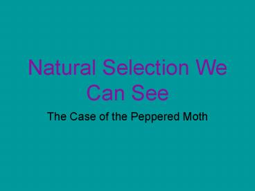 Natural Selection We Can See