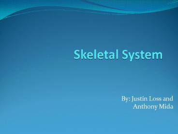 Skeletal System