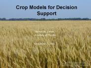 Crop Models for Decision Support