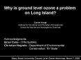 Why is ground level ozone a problem PowerPoint PPT Presentation