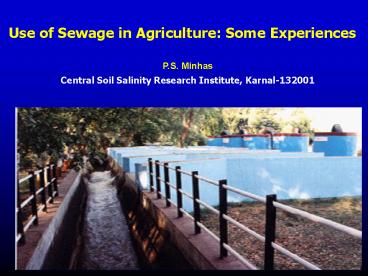Use of Sewage in Agriculture: Some Experiences