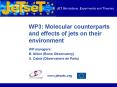 WP3: Molecular counterparts and effects of jets on their environment PowerPoint PPT Presentation
