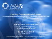 Leading Organizational Change: