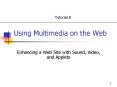 Using Multimedia on the Web PowerPoint PPT Presentation