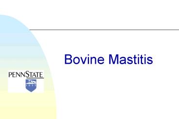 Bovine Mastitis