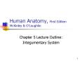 Human Anatomy, First Edition McKinley PowerPoint PPT Presentation