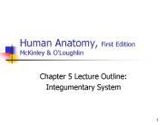 Human Anatomy, First Edition McKinley