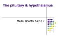 The pituitary PowerPoint PPT Presentation