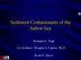 Sediment Contaminants of the Salton Sea PowerPoint PPT Presentation
