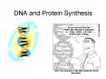 DNA and Protein Synthesis PowerPoint PPT Presentation