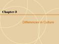 Differences in Culture PowerPoint PPT Presentation