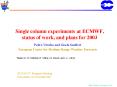 Single column experiments at ECMWF, status of work, and plans for 2003 PowerPoint PPT Presentation