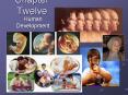Chapter Twelve PowerPoint PPT Presentation