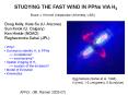 STUDYING THE FAST WIND IN PPNs VIA H2 PowerPoint PPT Presentation