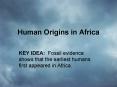 Human Origins in Africa PowerPoint PPT Presentation