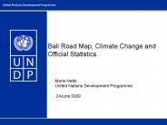 Bali Road Map, Climate Change and Official Statistics
