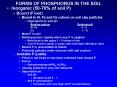 FORMS OF PHOSPHORUS IN THE SOIL PowerPoint PPT Presentation