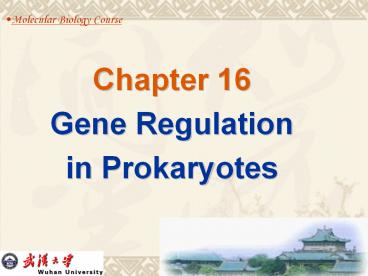 Gene Regulation
