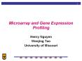 Microarray and Gene Expression Profiling PowerPoint PPT Presentation