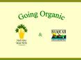 Going Organic PowerPoint PPT Presentation