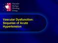 Vascular Dysfunction: Sequelae of Acute Hypertension PowerPoint PPT Presentation
