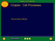 Chapter: Cell Processes