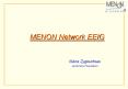 MENON Network EEIG PowerPoint PPT Presentation