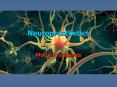 Neuroprosthetics PowerPoint PPT Presentation