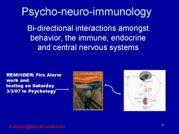 presentation player overlay