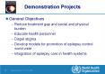 Demonstration Projects PowerPoint PPT Presentation