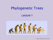 Phylogenetic Trees Lecture 1
