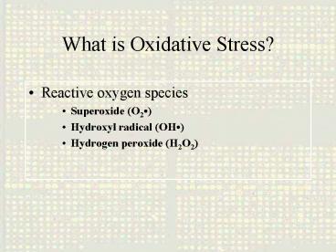 What is Oxidative Stress