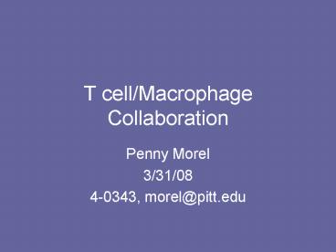 T cellMacrophage Collaboration
