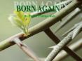 BORN AGAIN PowerPoint PPT Presentation