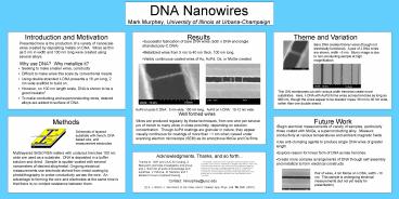 DNA Nanowires Mark Murphey, University of Illinois at Urbana-Champaign