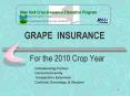 For the 2010 Crop Year PowerPoint PPT Presentation