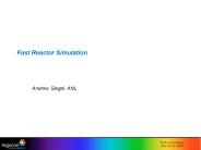 Fast Reactor Simulation